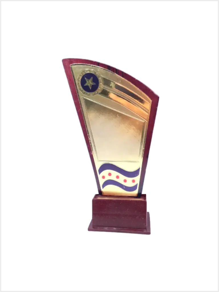 Wooden Trophy 881 (9")