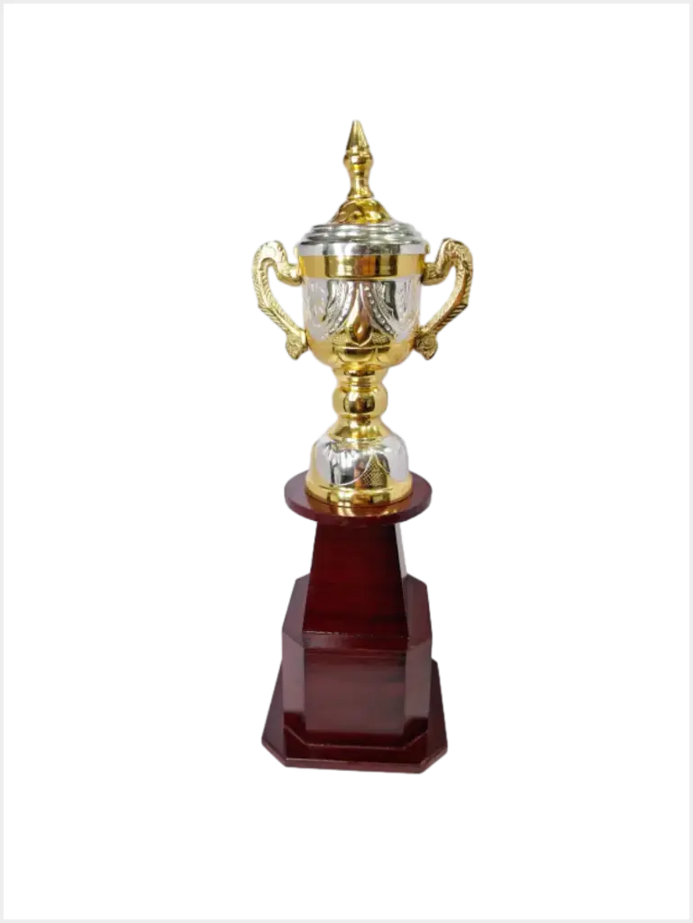 [ATM-3059-C] Metal Trophy M-3059 (18")